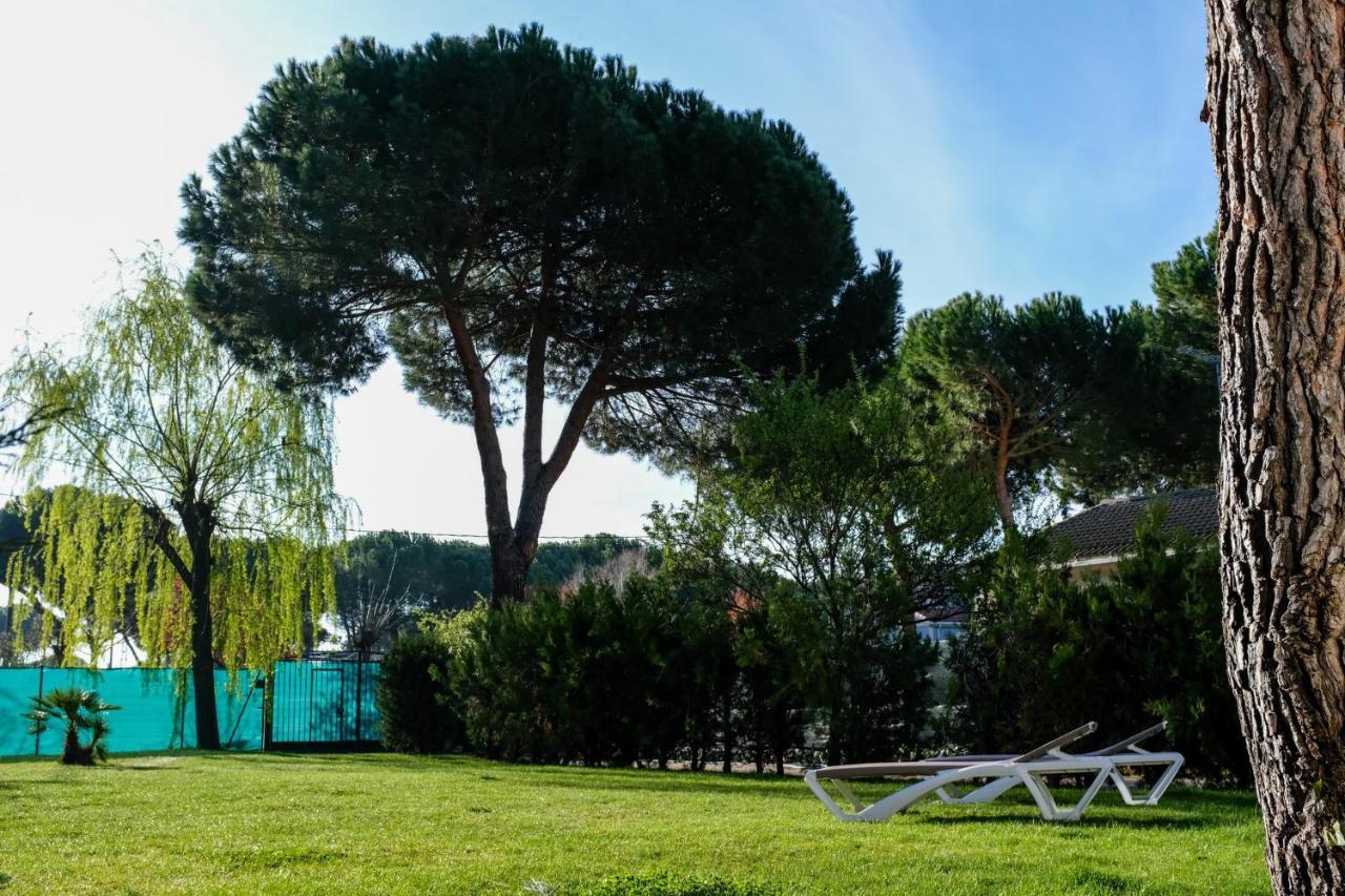 Medina Del Campo Entrepinares Hébergement de vacances El Campillo (Valladolid)